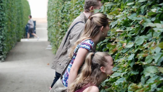 로보 어드바이저 퇴직 연금 수익률 2배 높이는 비법 17