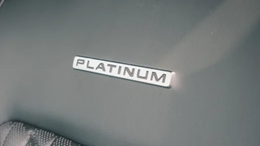 백금 대장주 매수로 수익 2배 내기 3