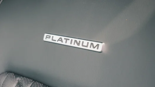 백금 대장주 매수로 수익 2배 내기 17