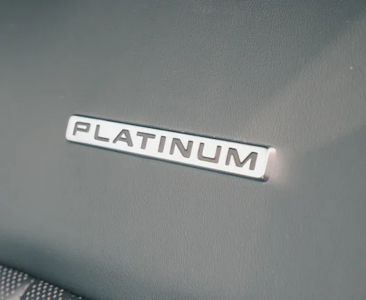 백금 대장주 매수로 수익 2배 내기 37