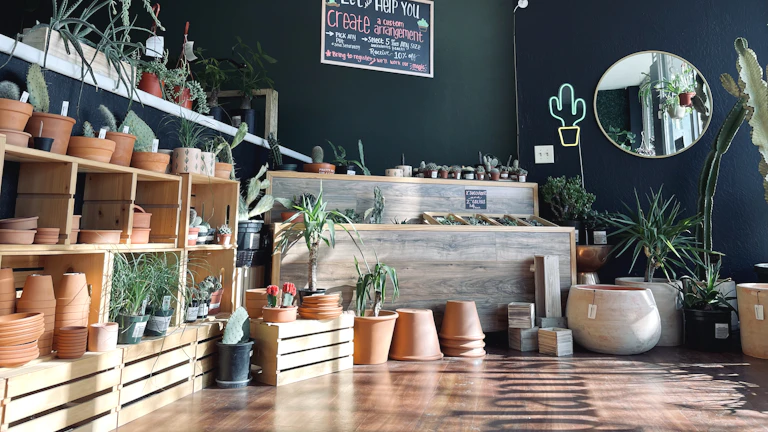 작은 씨앗에서 큰 나무로 자라나는 기업의 성장 이미지