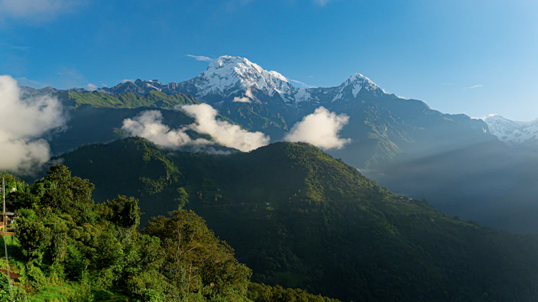 주식 시장 변동성 그래프
