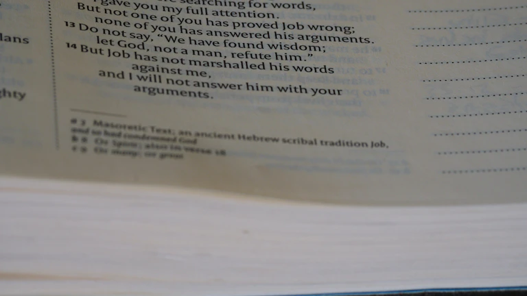 세금 계산기 화면 이미지