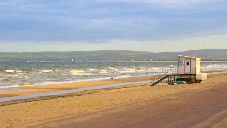 미국 물가연동국채 수익률 차트