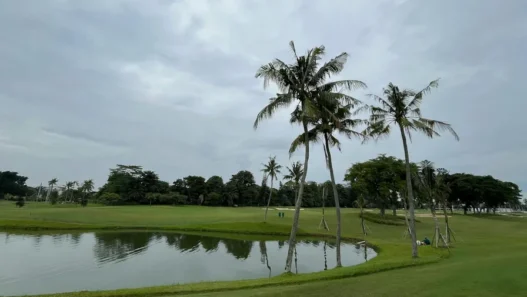 비에비스타CC 퍼블릭 이용요금과 코스 후기 총정리 25