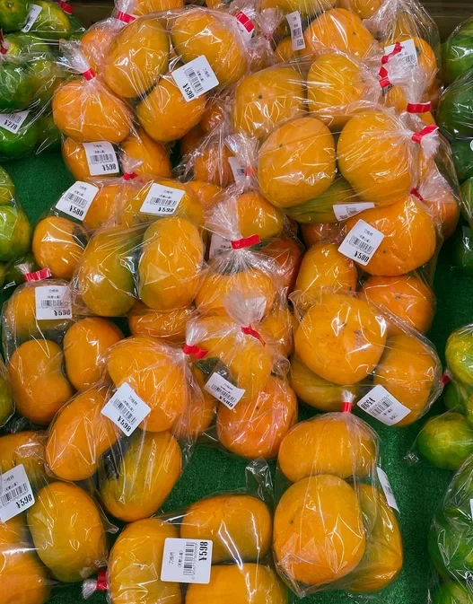 식명관 천원 야채 실구매 후기와 보관 팁 45