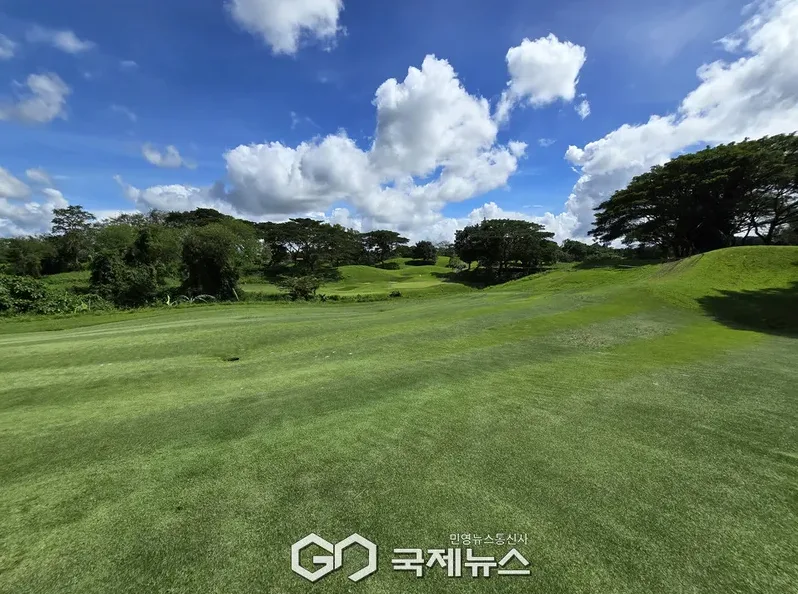 골프 카트비와 캐디피 정산 비교