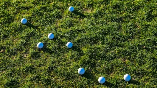 오르비스CC 라운딩 후기 코스 난이도와 그린 상태 정리 29