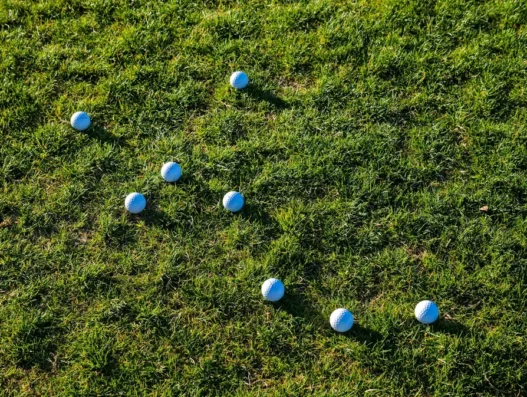 오르비스CC 라운딩 후기 코스 난이도와 그린 상태 정리 41