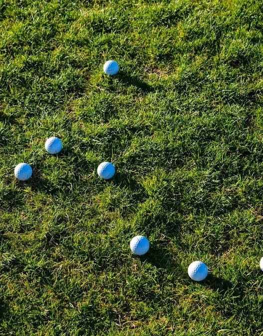 오르비스CC 라운딩 후기 코스 난이도와 그린 상태 정리 43