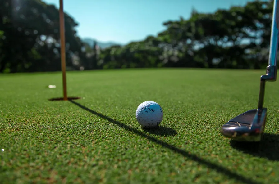 그린 경사와 볼 굴림을 보여주는 오르비스CC 퍼팅 이미지