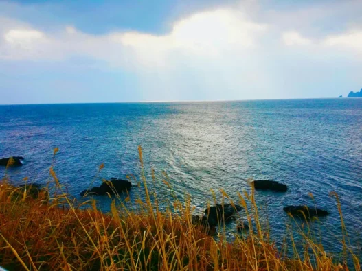 자산어보 뜻과 정약전이 남긴 이유 한눈에 보기 3