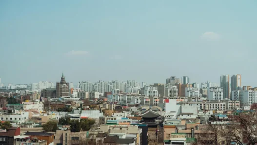 성범죄경력조회서 발급방법과 동의서 회신서 총정리 25