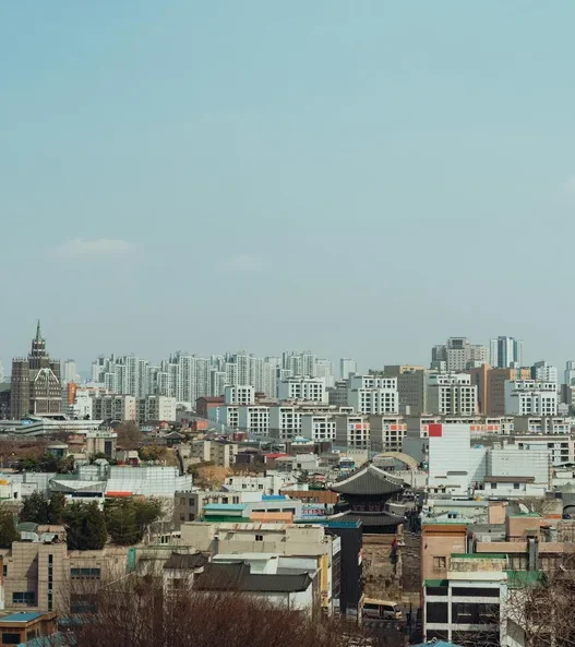 성범죄경력조회서 발급방법과 동의서 회신서 총정리 54
