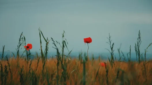 파피플레이타임 챕터5 후기와 스토리 정리 17