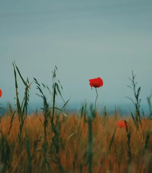 파피플레이타임 챕터5 후기와 스토리 정리 43