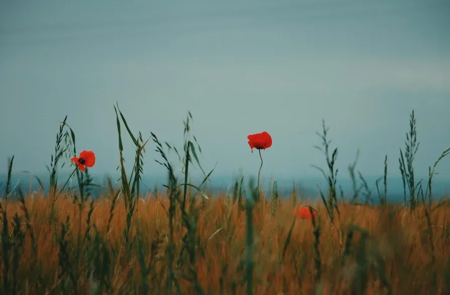 파피플레이타임 챕터5 후기와 스토리 정리 95