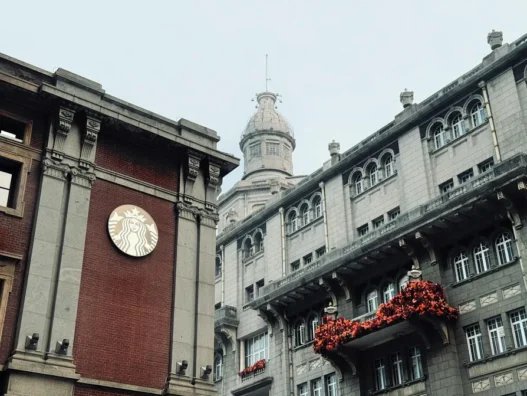 스타벅스 실리콘 푸드백 2026년 4월 구입방법과 실물 후기 3