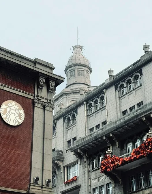 스타벅스 실리콘 푸드백 2026년 4월 구입방법과 실물 후기 39