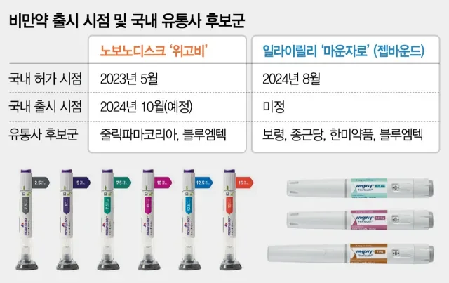 비만치료제 시장 경쟁 구도