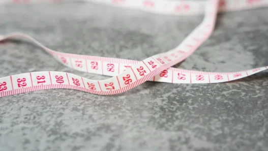 비만도계산기 수치보다 중요한 BMI 해석법과 주의점 17