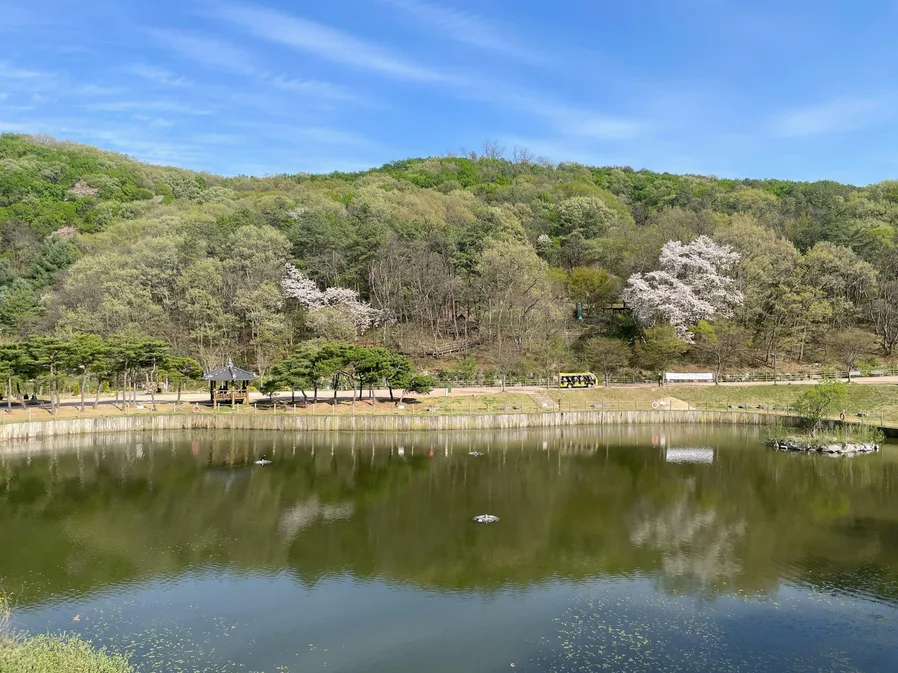 산나물 반찬 플레이팅 이미지