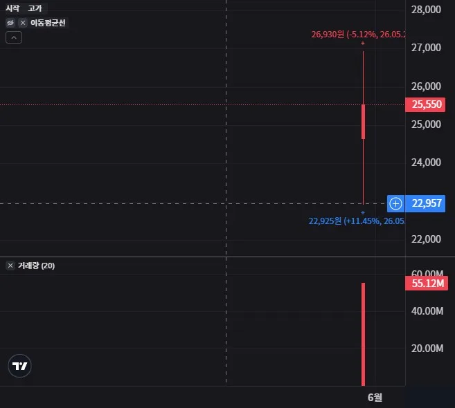 TIGER SK하이닉스단일종목레버리지 일봉 차트