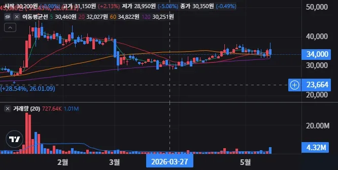 포스코DX 일봉 차트