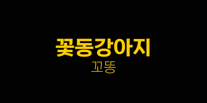 꽃동강아지 꼬똥