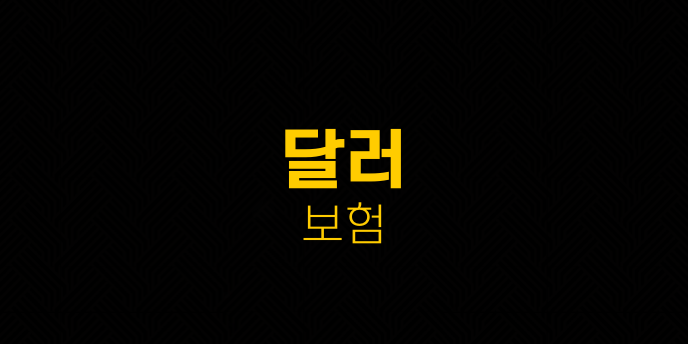 달러 보험