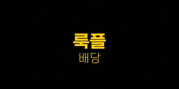 룩플 배당