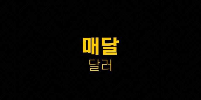 매달 달러