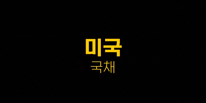 미국 국채 24