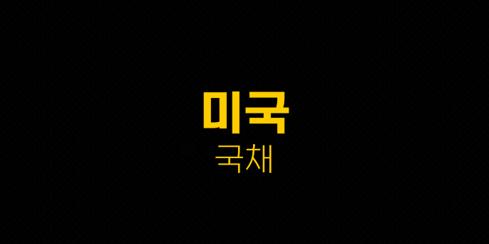 미국 국채