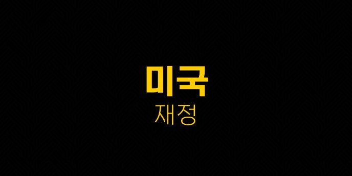 미국 재정