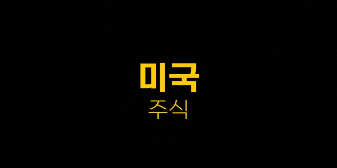 미국 주식