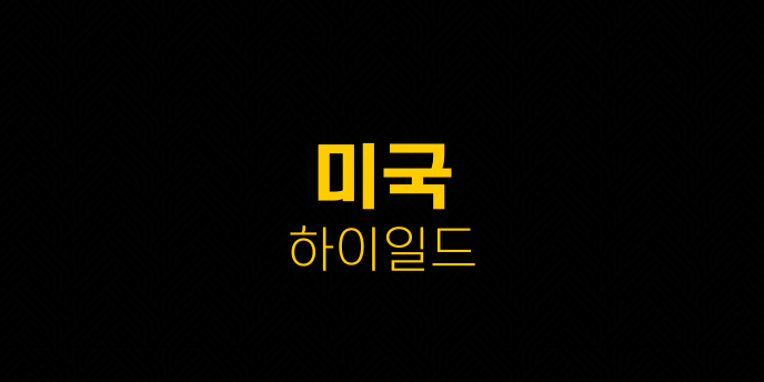 미국 하이일드