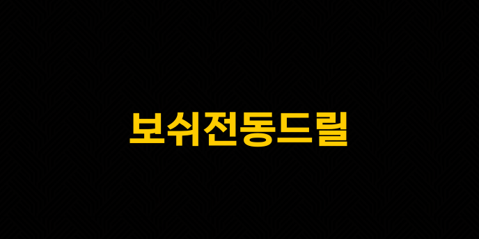 보쉬전동드릴
