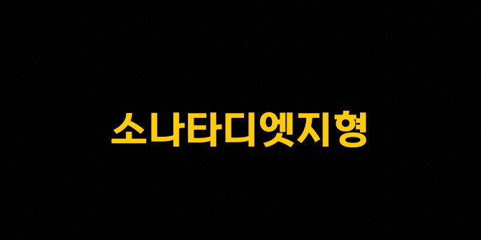소나타디엣지형