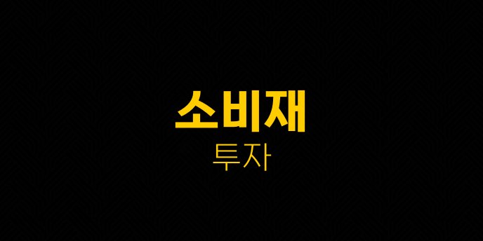 소비재 투자