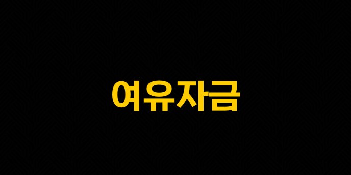 여유자금 1