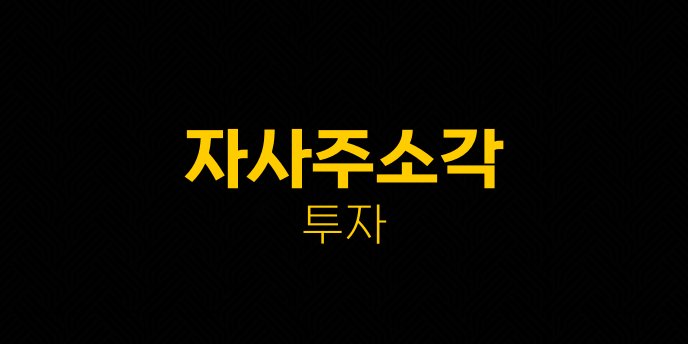 자사주소각 투자
