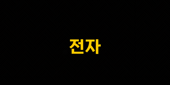 전자
