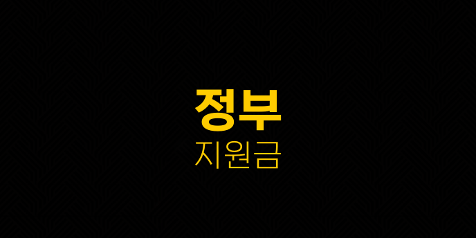 정부 지원금