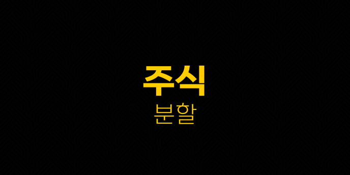 주식 분할