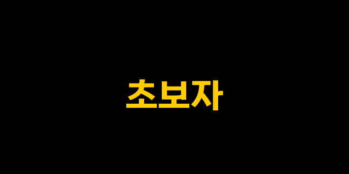 초보자
