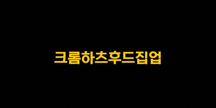 크롬하츠후드집업