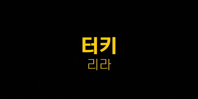 터키 리라