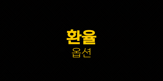 환율 옵션