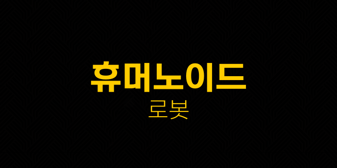 휴머노이드 로봇